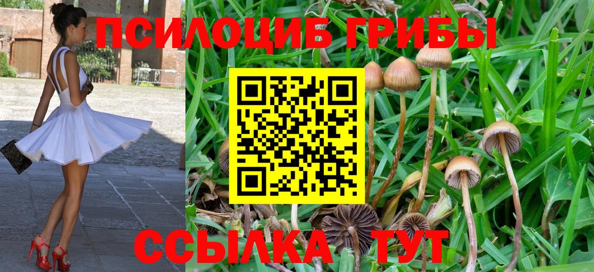 Севастополь  Псилоцибиновые грибы GOLDEN TEACHER  Вход с VPN 