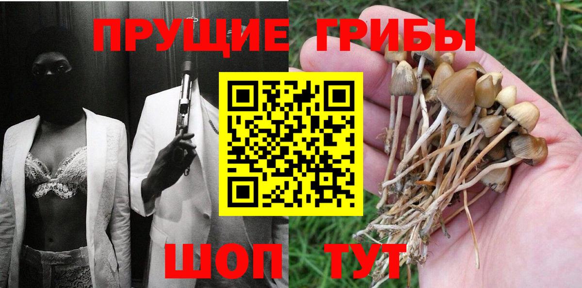Псилоцибиновые грибы мицелий Севастополь